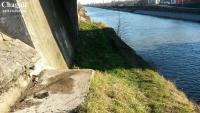 Imagine atasata: 20141221_104956.jpg